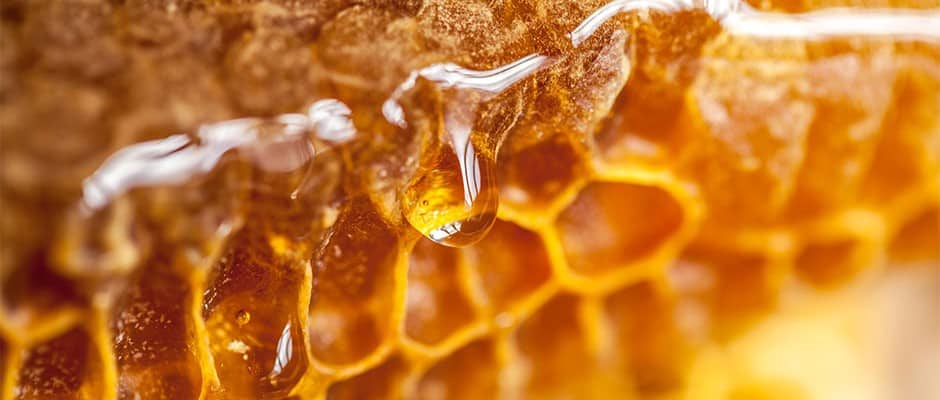 Read more about the article HONEY RECIPES FOR HEPATITIS