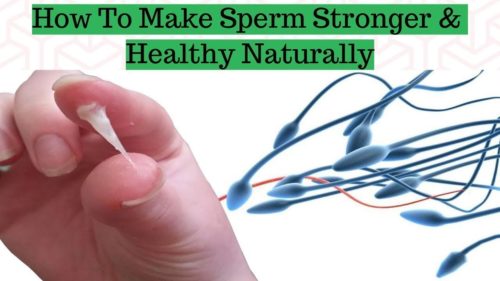 Read more about the article How to make sperm thicker and stronger (2022)